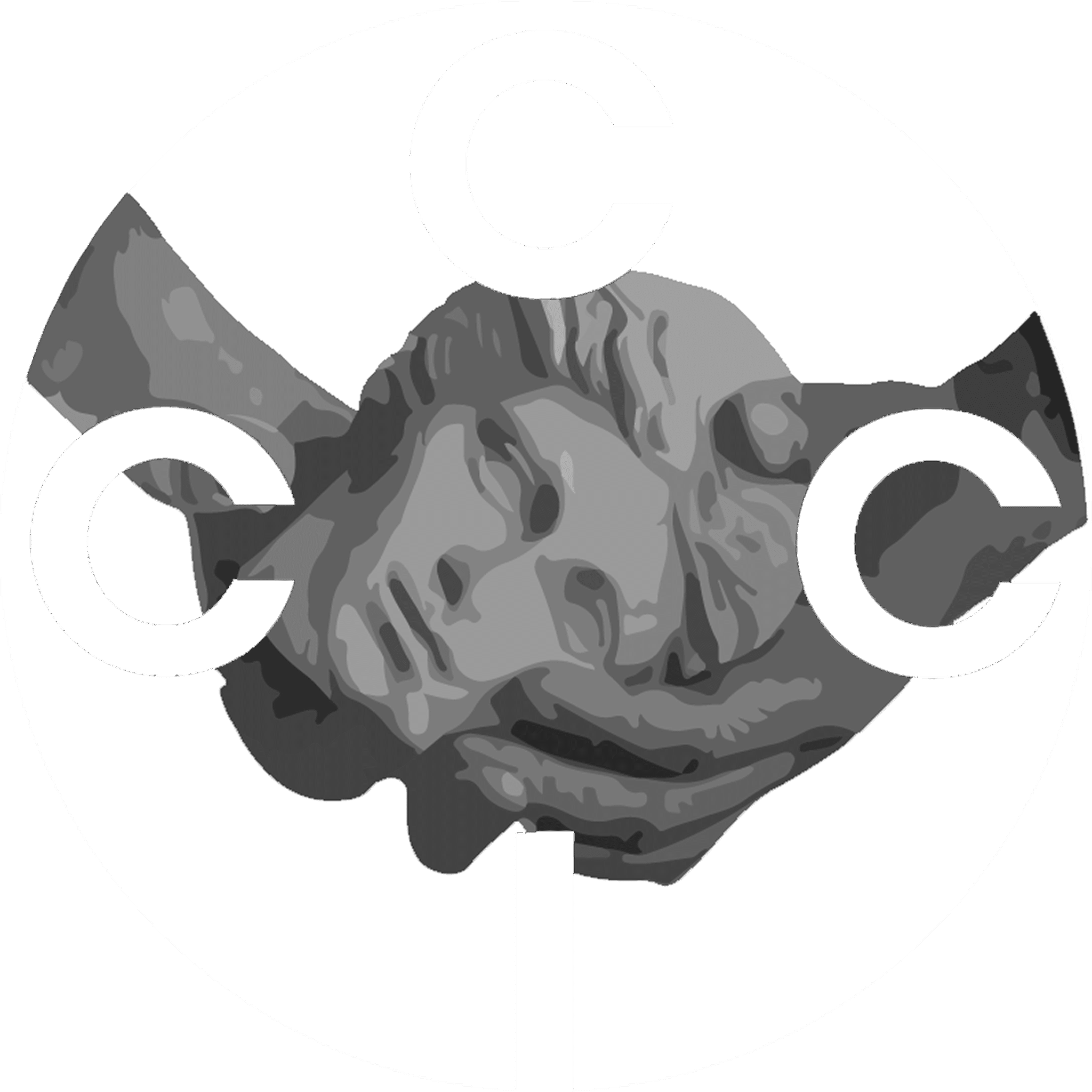 Logo - CCIC