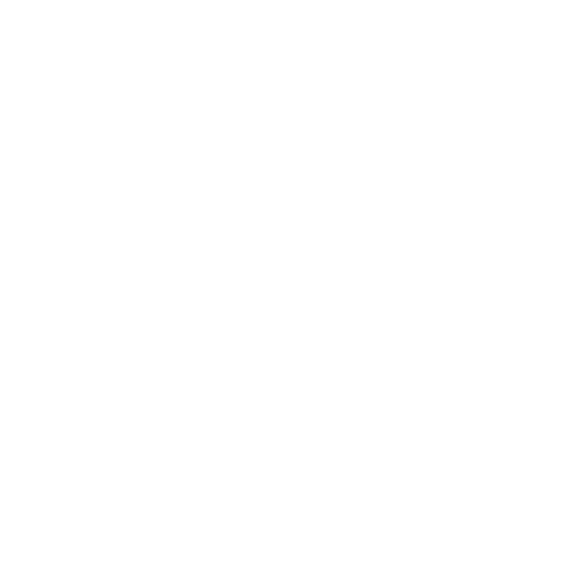 diocèse orleans blanc