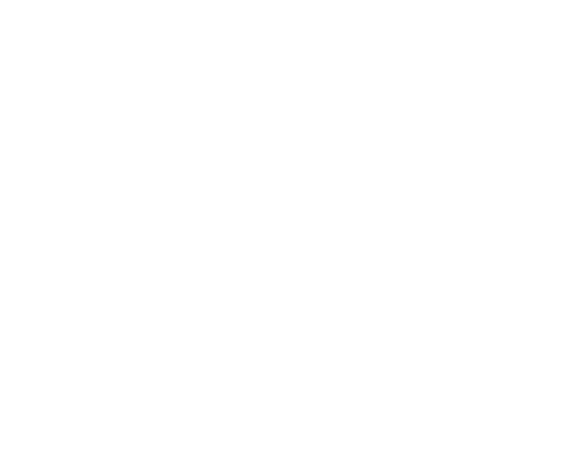 logo -MCC blanc